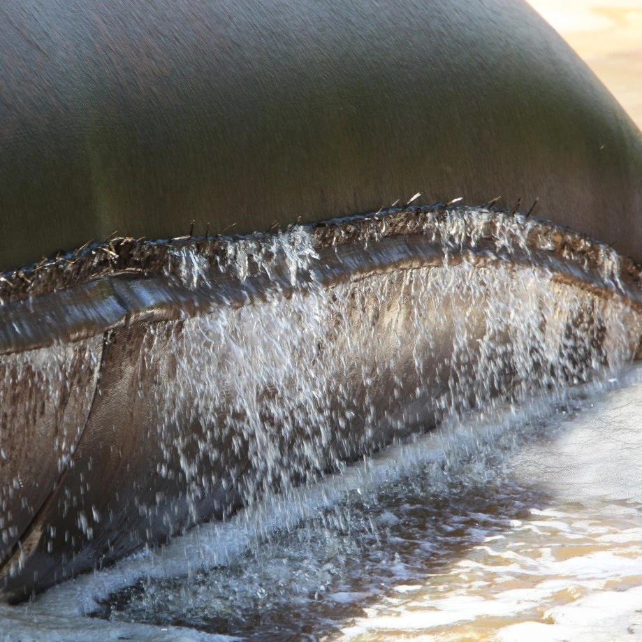 パーム油の廃水処置のためのGeobagを排水する沈積物