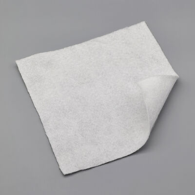 環境に優しいPPステープル繊維非織物地質繊維 沿岸侵食対策