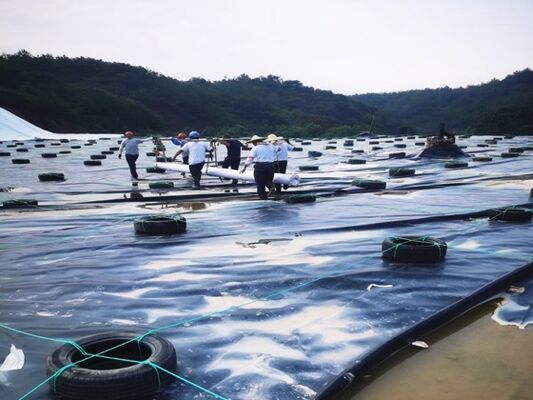 1.5mm HDPE ゲオメムラインライナー 鉱山堆の流出パッドのための特殊化学抵抗性