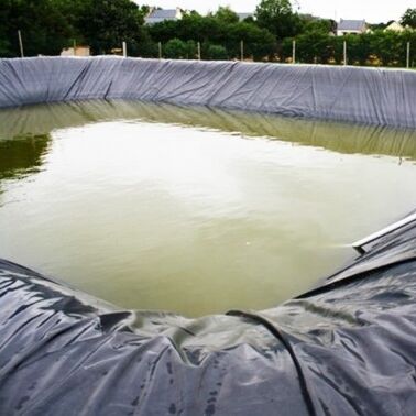 安全な水産養殖の繁殖のための耐久の HDPE ジオ膜ライナー農業農場の池ライナー