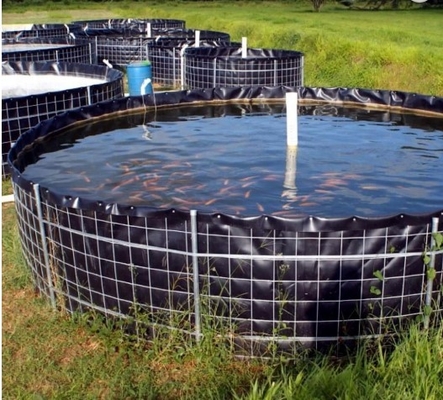 エビの魚供給のための滑らかな表面ポリ塩化ビニールGeomembraneはさみ金の厚さ0.2~3mm