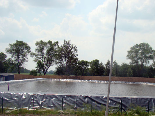 耐用10年 魚池 緑色