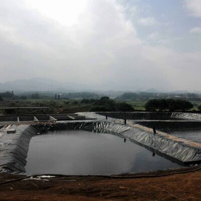 農業用灌水貯水池用 紫外線耐性 1.5mm 滑らかな HDPE 地膜 ラインナー