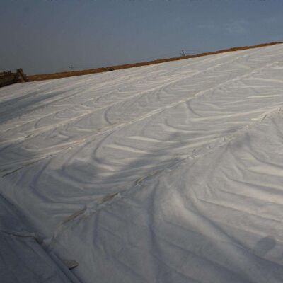 ポリエステル ショートファイバー 針 突っ込み 非織物 地質繊維 舗装強化用