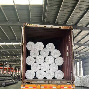 高密度ポリエチレンHDPE 地膜内膜 基礎のメタン減量のためのガスの壁