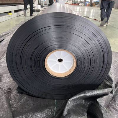 高密度ポリエチレンHDPE 地膜内膜 基礎のメタン減量のためのガスの壁
