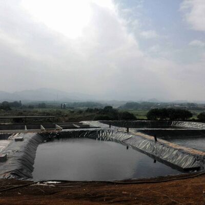 安全な水産養殖の繁殖のための耐久の HDPE ジオ膜ライナー農業農場の池ライナー