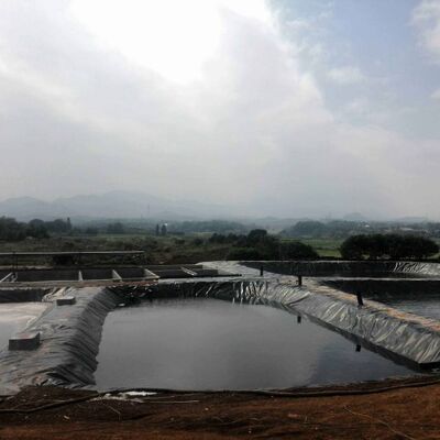 池の農業用灌?? 貯水池のための魚の安全性のあるHDPE地膜ラインナー