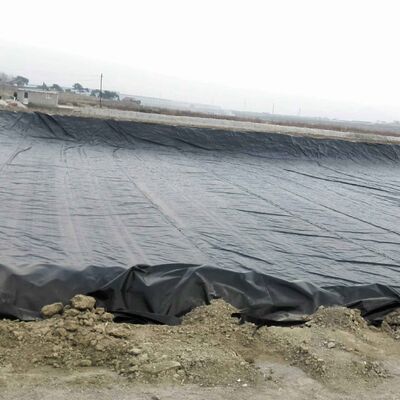 商業用魚類とガキの水産養殖用 水に耐えるHDPEジオメムラン池面