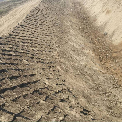 道路工事のための250mm斜面の保護ジオセルの腐食制御