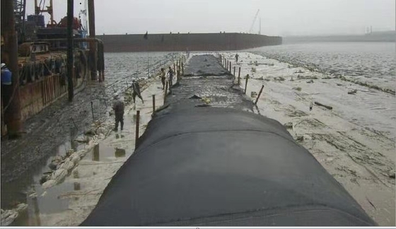排水するポリエステル廃水の沈積物は沿岸保護を袋に入れる