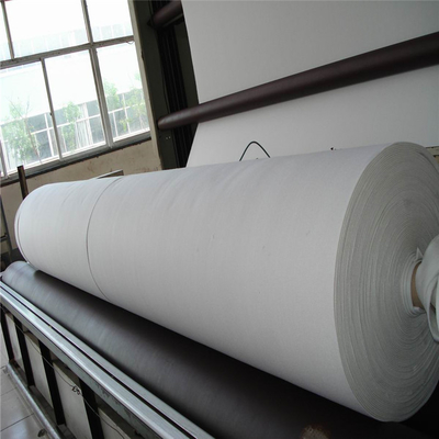 補強される150-50knによって編まれるGeotextileの生地320gsmの高力