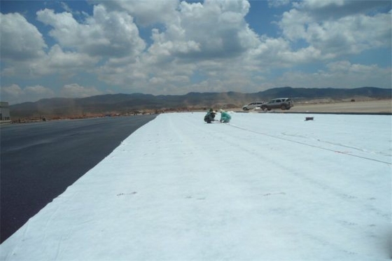 針はPPを打つか、または環境保全のための非編まれたGeotextileをかわいがる