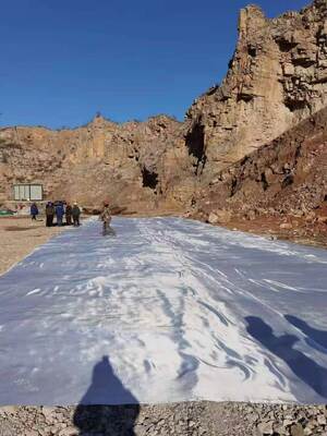 5.2m 幅 斜面強化に使用される50KNmから1200KNmまでの張力強度とCBR穿孔強度12KN以上を提供する地質繊維織物